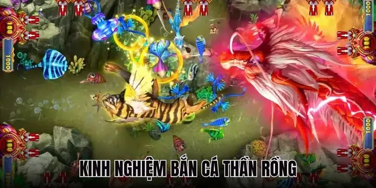 Săn Thưởng Bắn Cá Rồng King88 Hấp Dẫn Nhất Hôm Nay