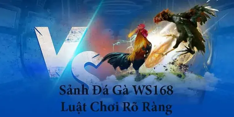 Tham Gia Đá Gà WS168 King88 Ngay Để Chinh Phục Chiến Thắng